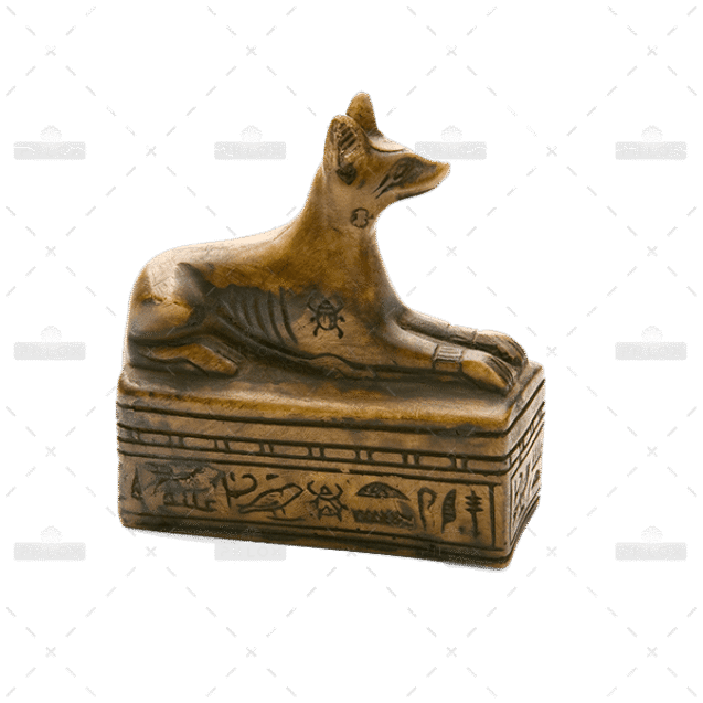 demo-attachment-725-op_10